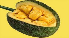 �ع����������ۣ�����ʶ